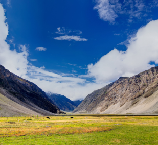 Kashmir Exotic Tour